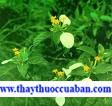 H&igrave;nh minh họa